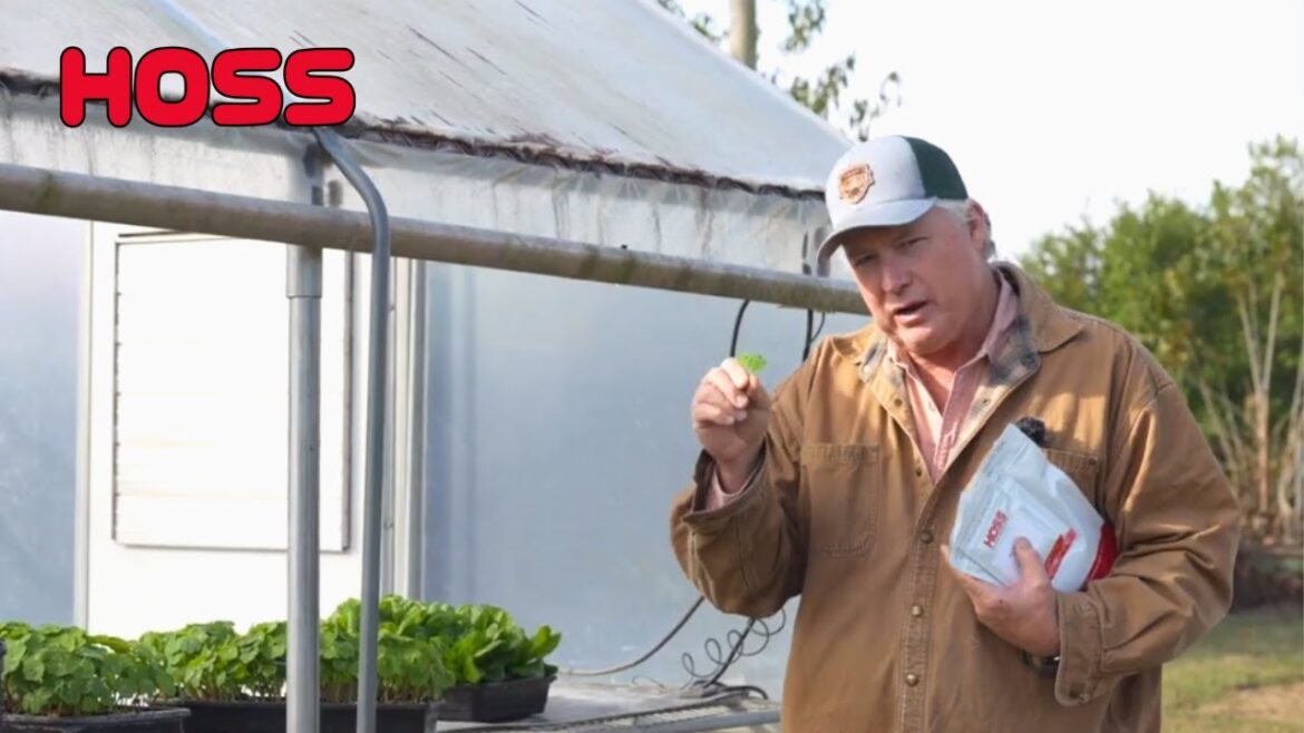 WINTER GARDENING – GREENHOUSE INFO! WINTER GARDENING - GREENHOUSE INFO!