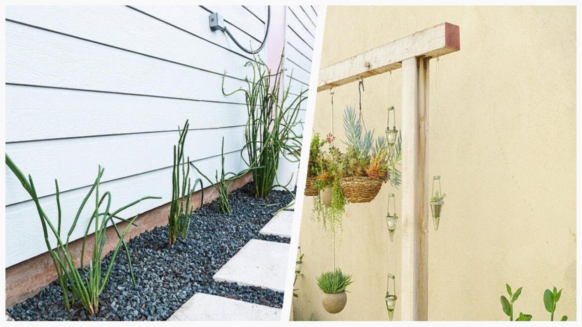 75 Southwestern White Landscaping Design Ideas You'll Love ☆