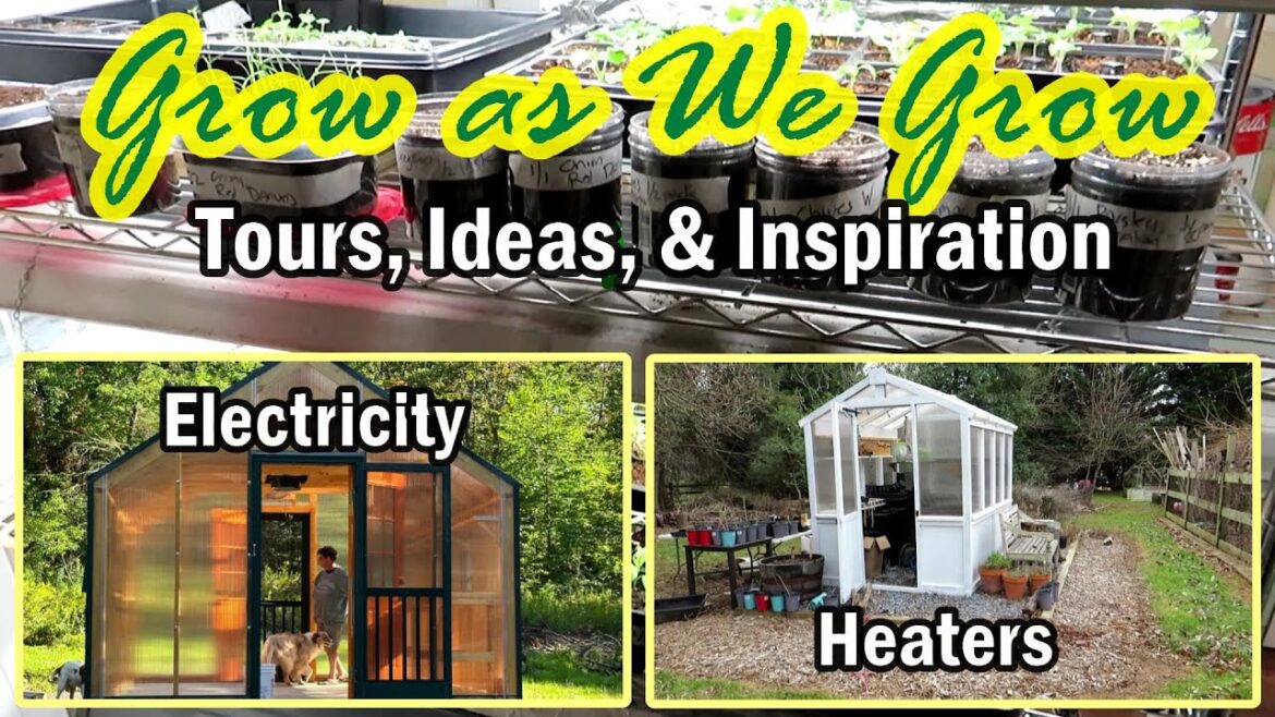 Garden Ideas, Inspiration, & Questions - Greenhouse Heat & Electricity: Grow as We Grow Series E-11