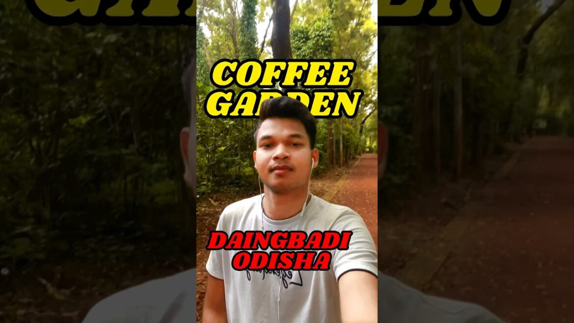Coffee shop : Coffee garden | Daringbadi tour 2023 #shorts #shortsvideo