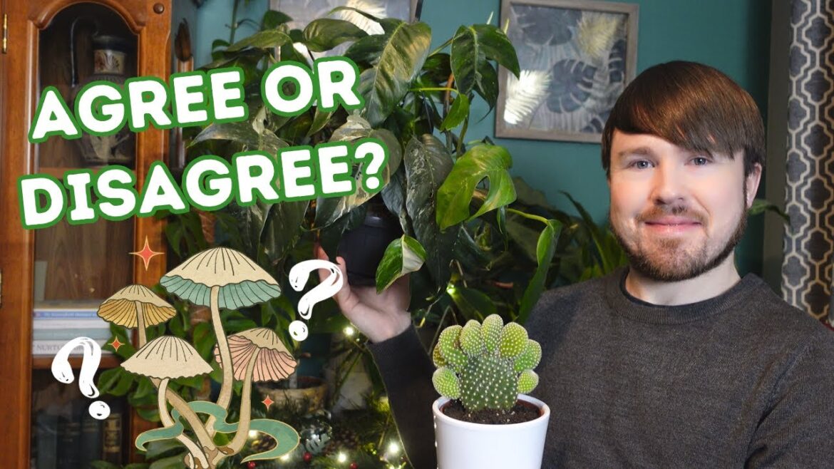 Houseplant Trends for 2024 (Top 10) – Including Upcoming Plant Style Trends! Houseplant Trends for 2024 (Top 10) - Including Upcoming Plant Style Trends!