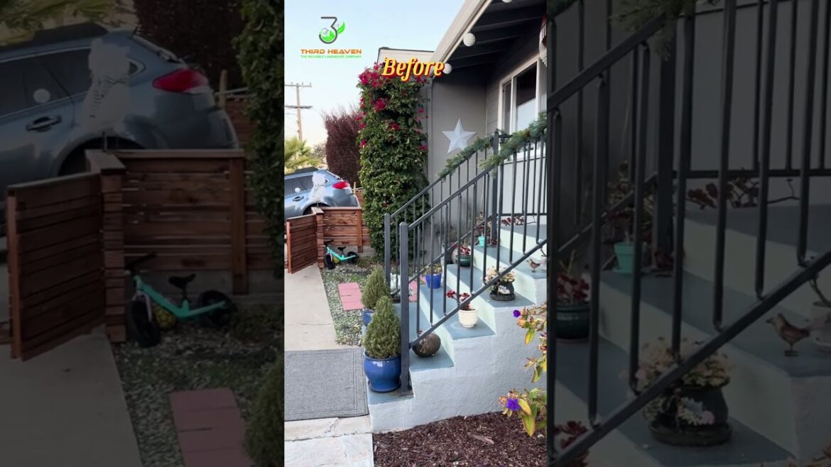 πΏ Unveiling the Ultimate Front Yard Privacy Makeover! π³ πΏ Unveiling the Ultimate Front Yard Privacy Makeover! π³