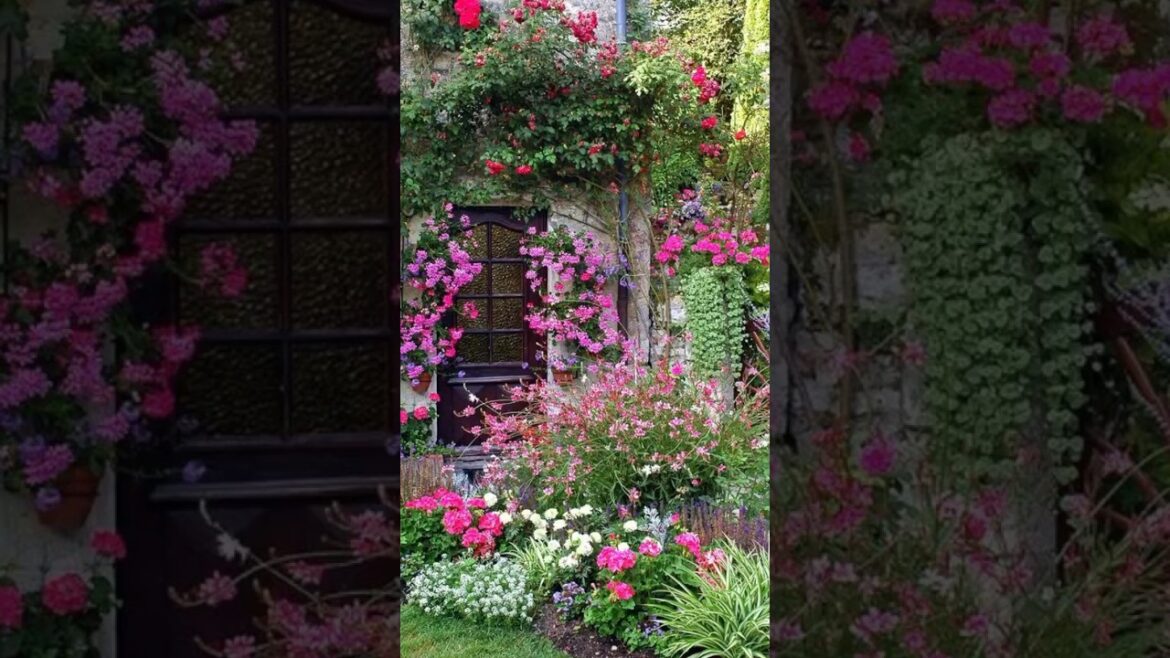 Ideas for garden