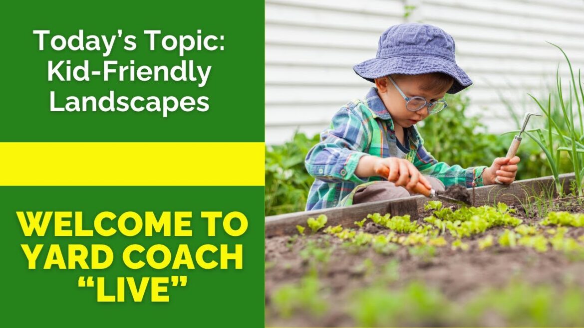 KID FRIENDLY LANDSCAPES | Video Replay