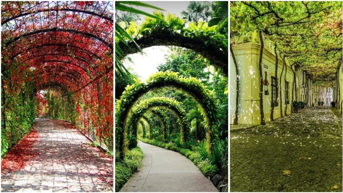 Vertical Garden Ideas For Home || Garden Tunnel || Tunnel Greenhouse Design