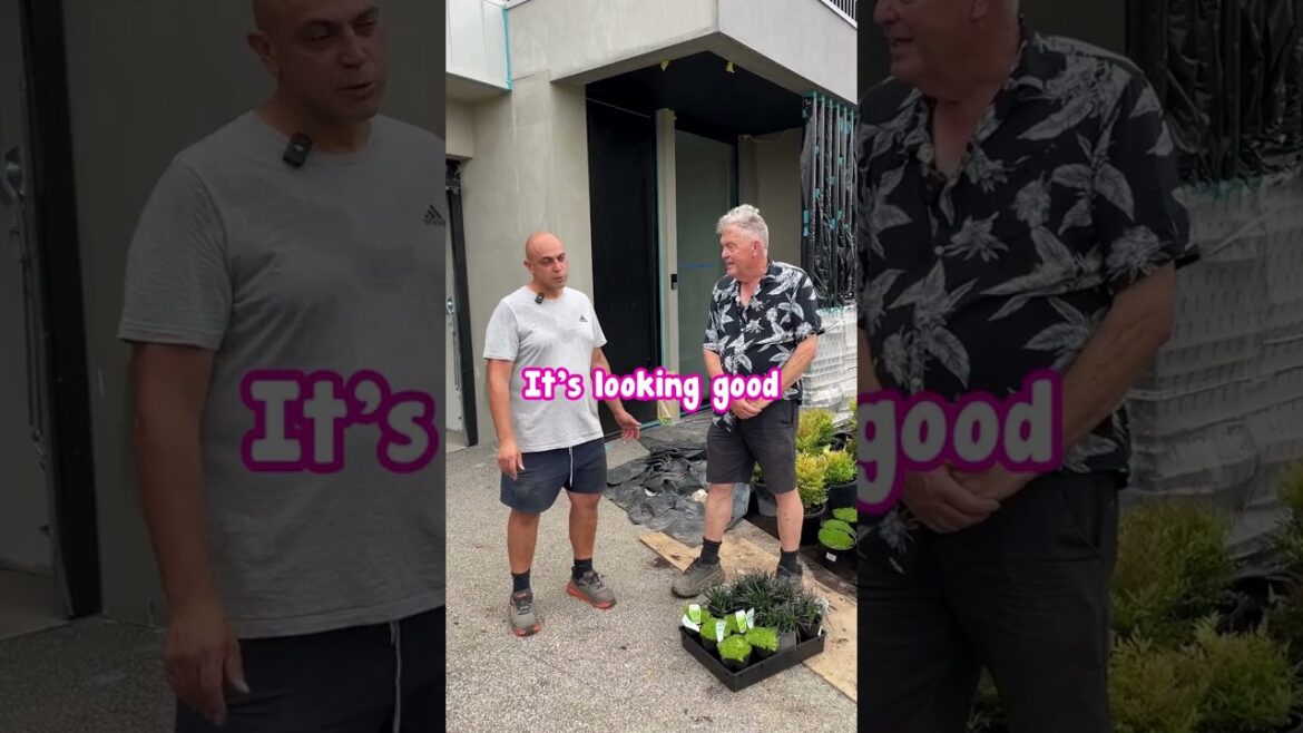 A Upmarket Garden Design in Essendon🏡🌿 A Upmarket Garden Design in Essendon🏡🌿