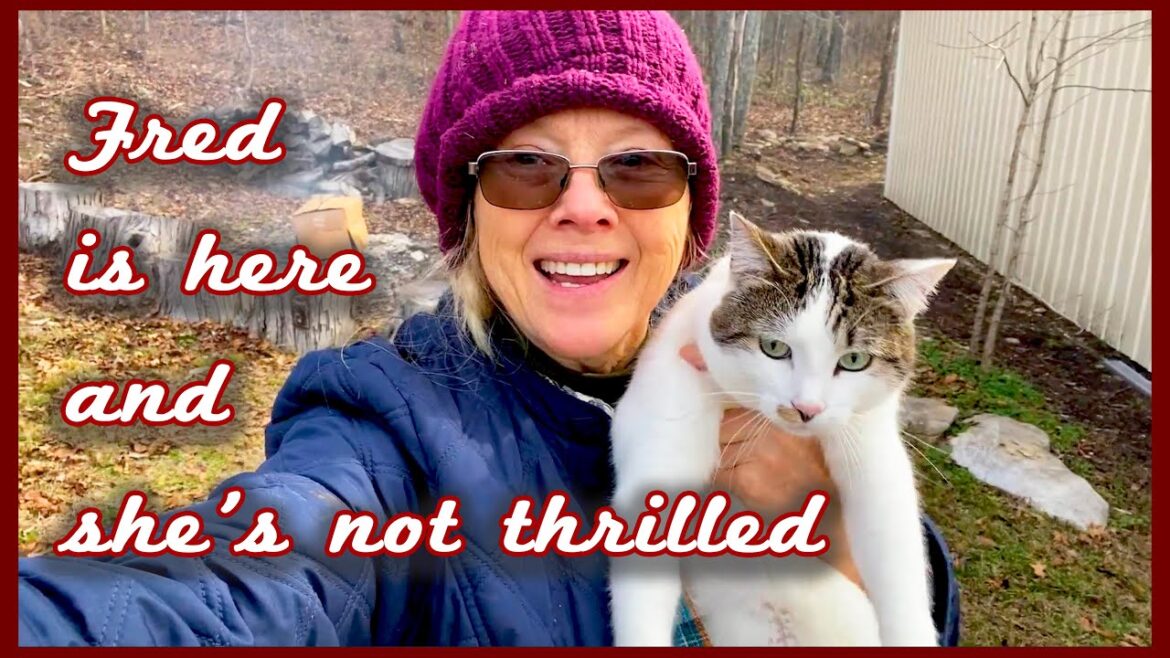 Frolicking with Fred and some GOOD NEWS! (finally!)