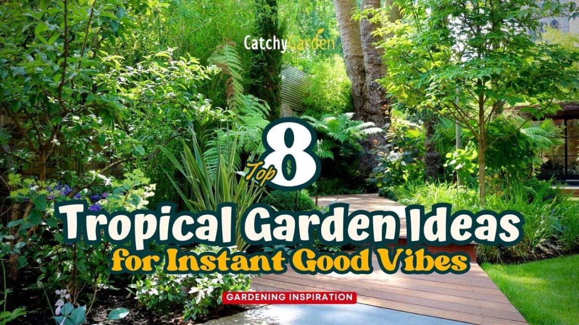 Top 8 Alluring Tropical Garden Ideas for Instant Good Vibes! π΄πΉπ³ Top 8 Alluring Tropical Garden Ideas for Instant Good Vibes! π΄πΉπ³