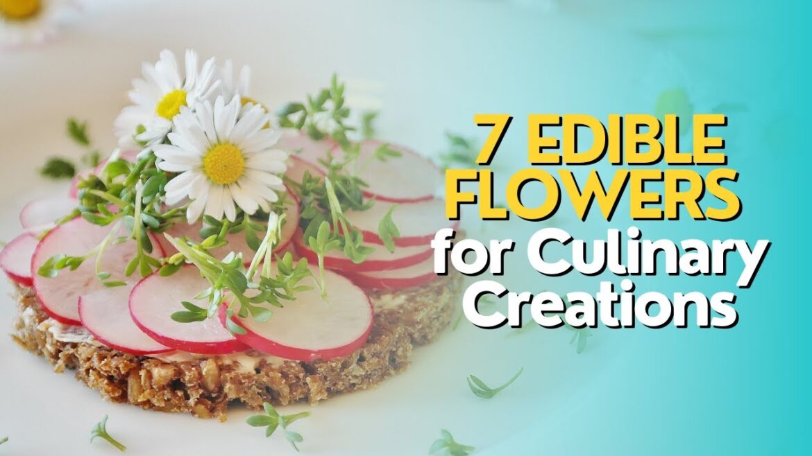 Top 7 Edible Flowers for Culinary Creations