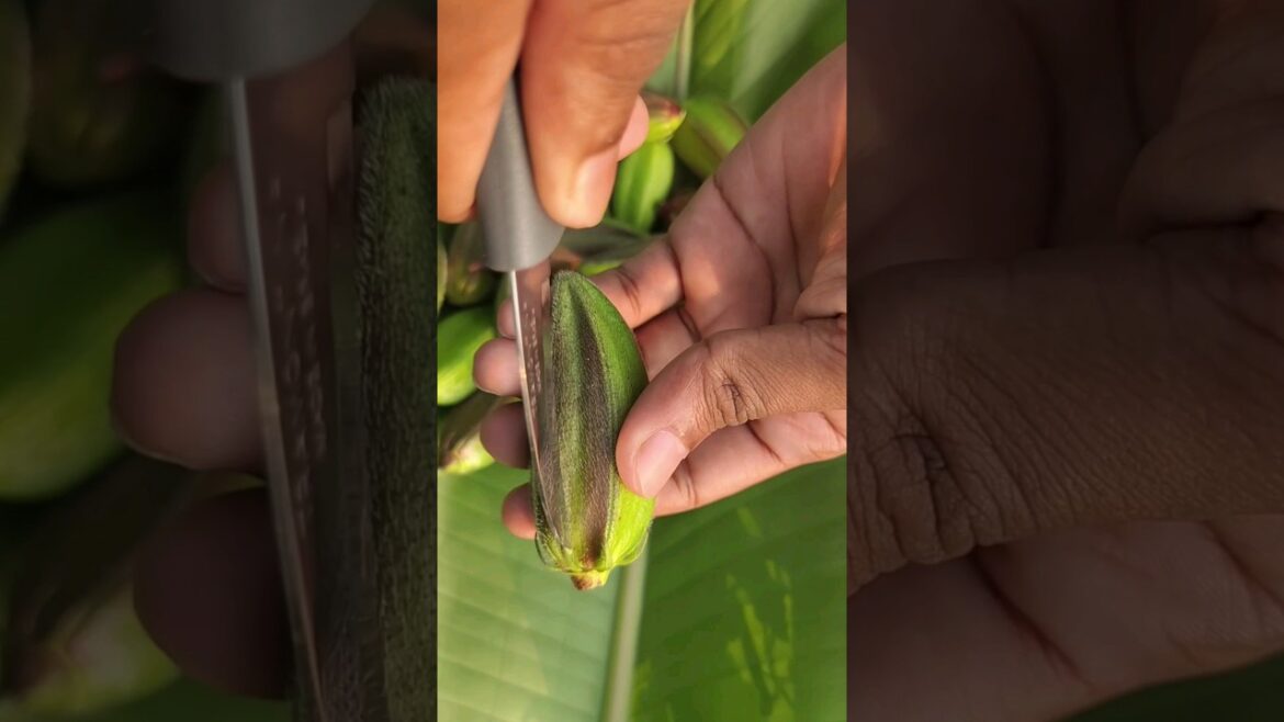 #shortvideo #shortvideo