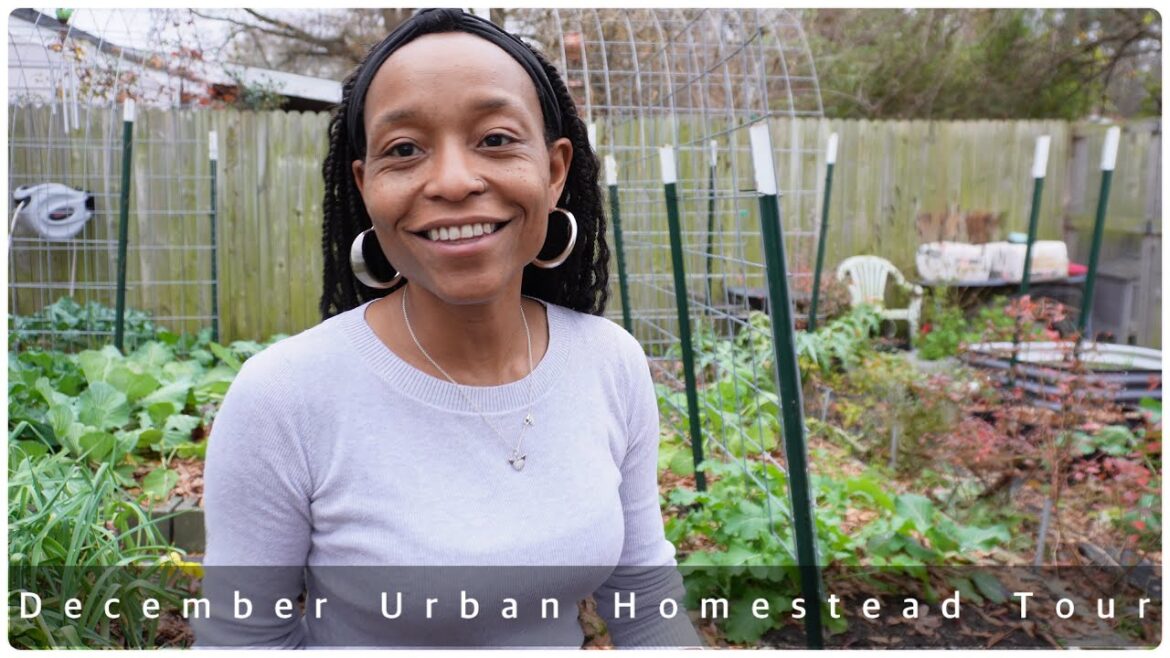 December Full Urban Homestead Tour | All The Animals And Growing Methods Shared December Full Urban Homestead Tour | All The Animals And Growing Methods Shared