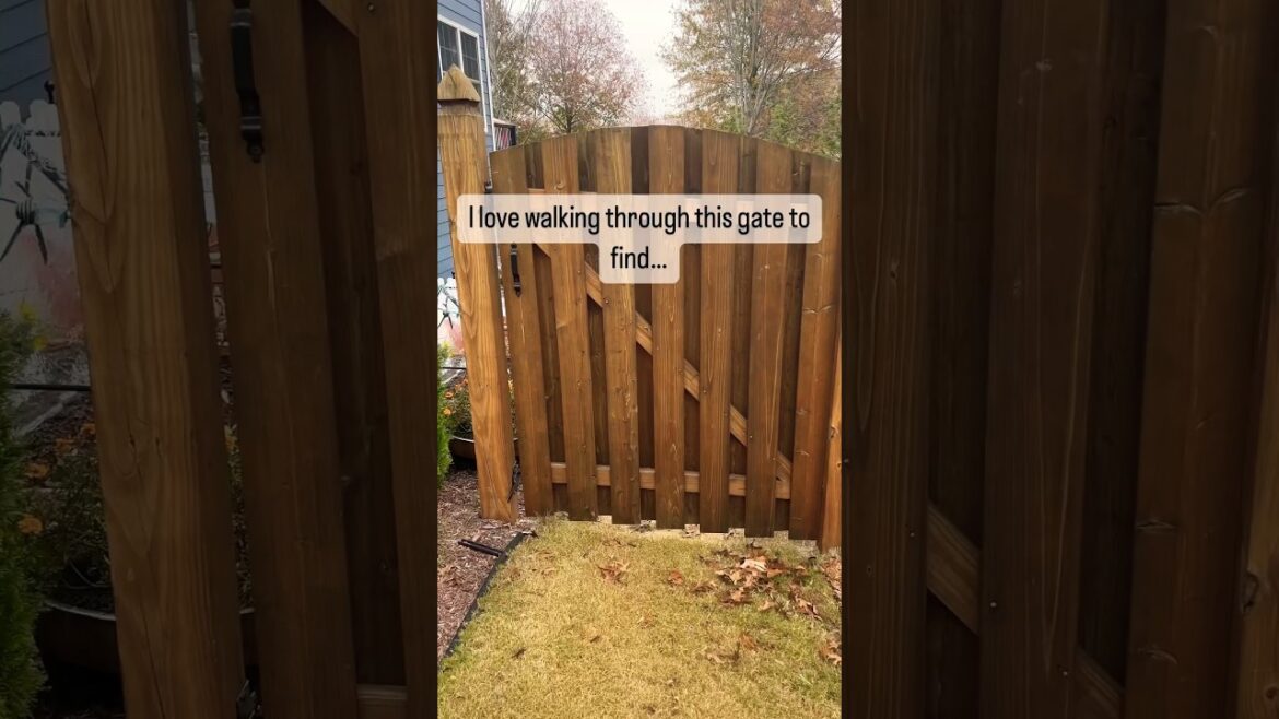 Home Gardening Reveal - What's Behind The Gate?