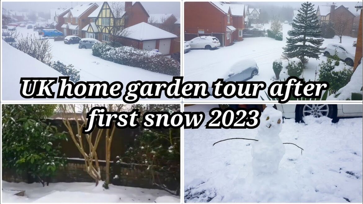 First snow of winter season 2023 | How garden is doing after snowfall in December? Gardening Wise