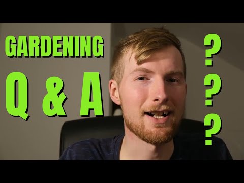 Answering Your Gardening Questions In My First Q And A | UK Allotment Answering Your Gardening Questions In My First Q And A | UK Allotment