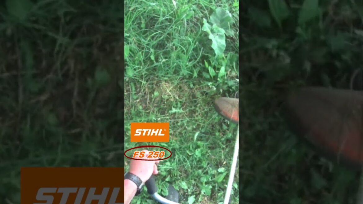 STIHL FS 250 trimmer. #stihl #fs250 #trimmer #garden #gardentools #gardener #weedeater