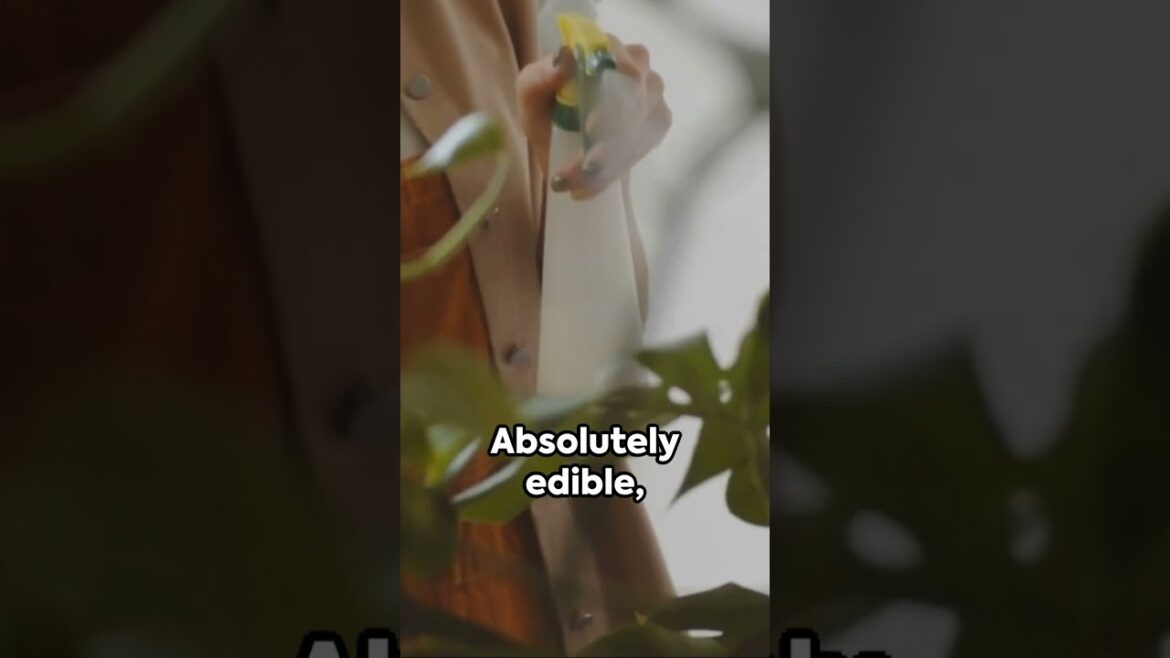 Edible or Nah? Monstera Deliciosa! Monster unleashed #health #exotic #fruits #plants