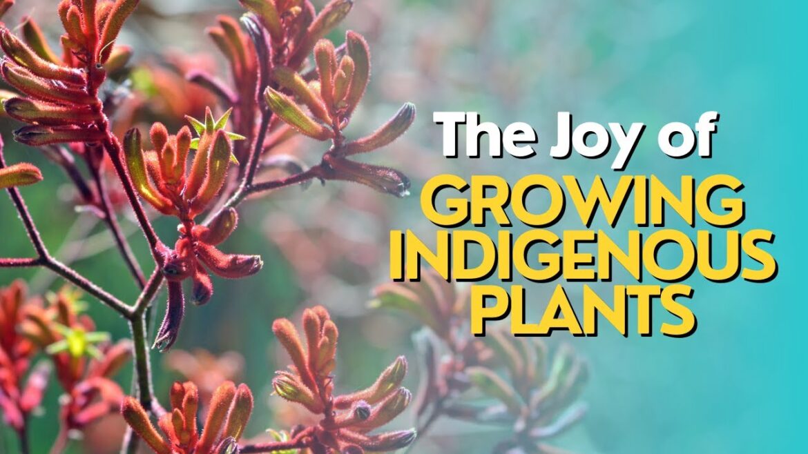 The Joy of Growing Indigenous Plants The Joy of Growing Indigenous Plants
