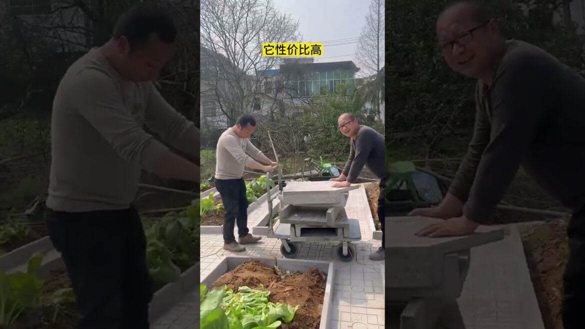 My life part of growing garden and vegetable #diygarden #vegetable