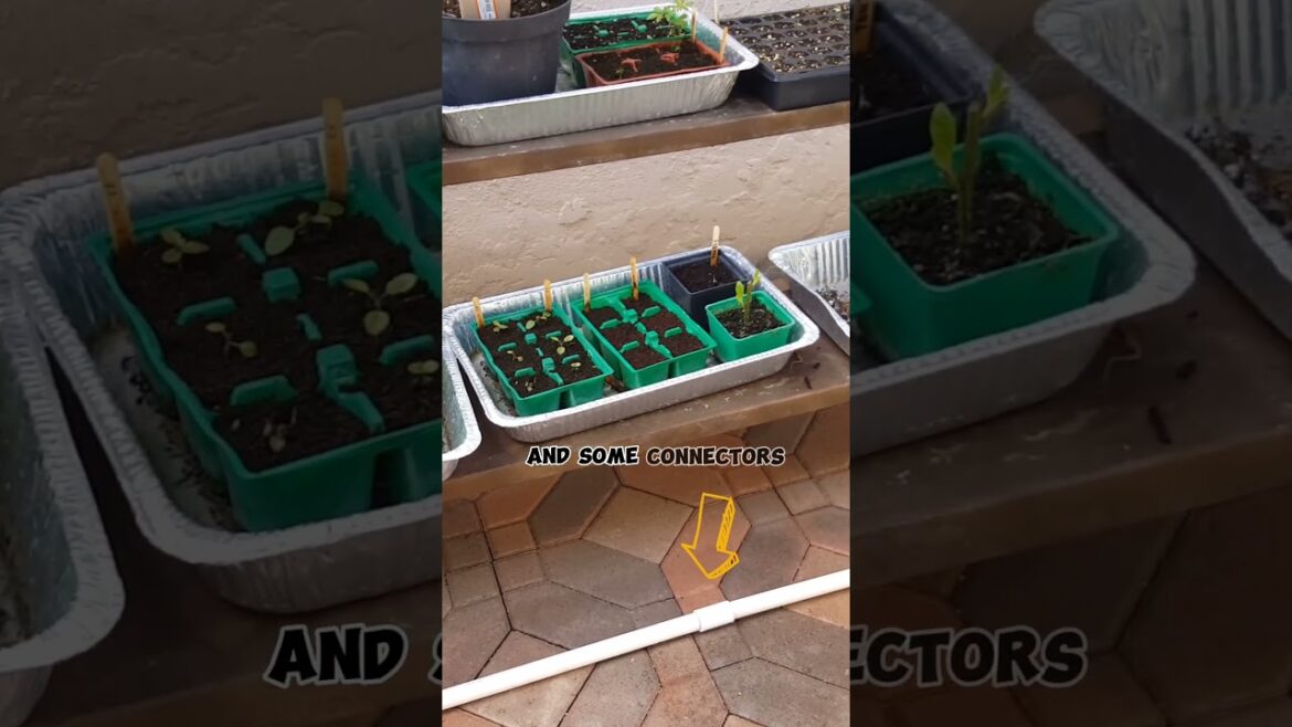 DIY Easy Anytime Greenhouse! 🌱❄️ #Shorts