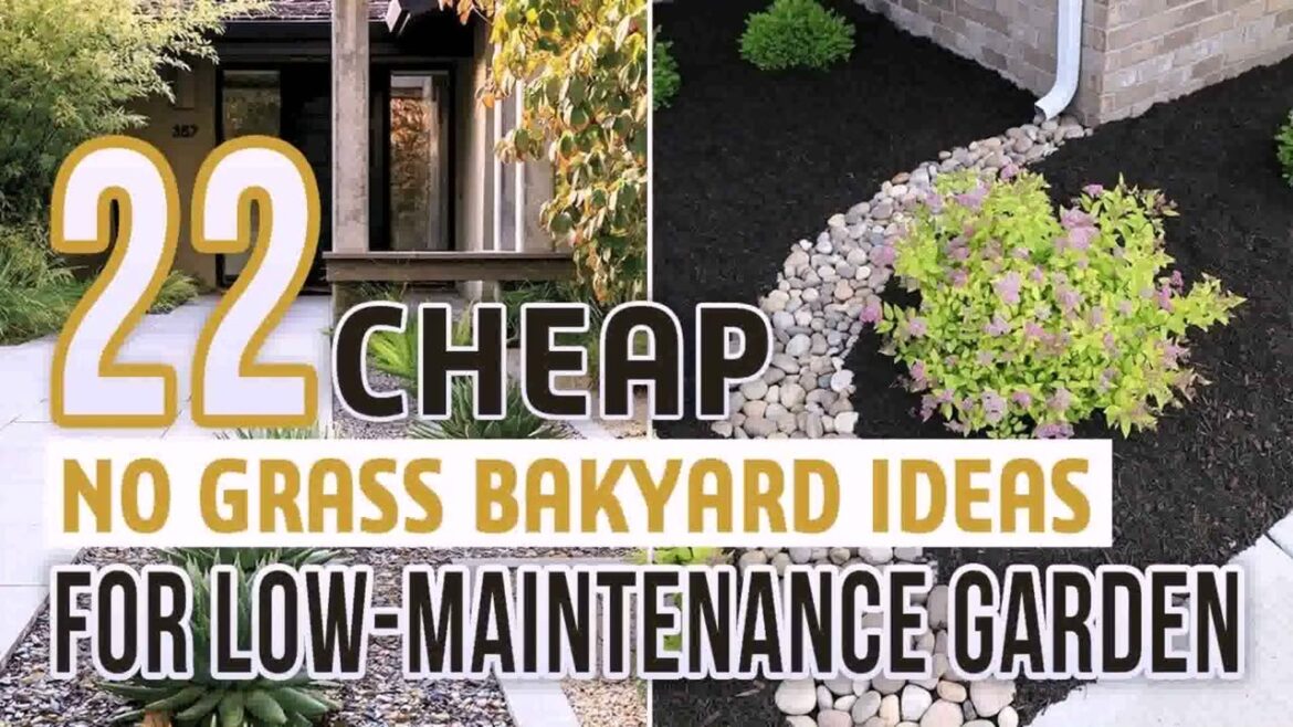 Simple Backyard Landscaping Ideas On A Budget