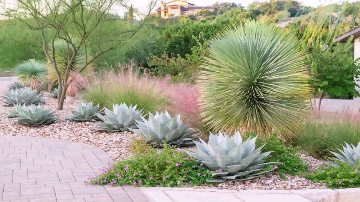 Front Yard Landscaping Ideas North Texas