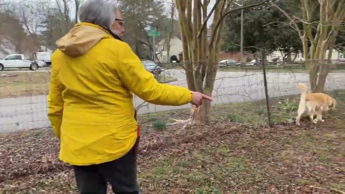 Growing & Maintaining A Native Plant Border