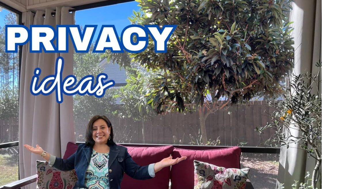 Backyard Privacy Landscaping Ideas (trees, privacy hedges) Backyard Privacy Landscaping Ideas (trees, privacy hedges)