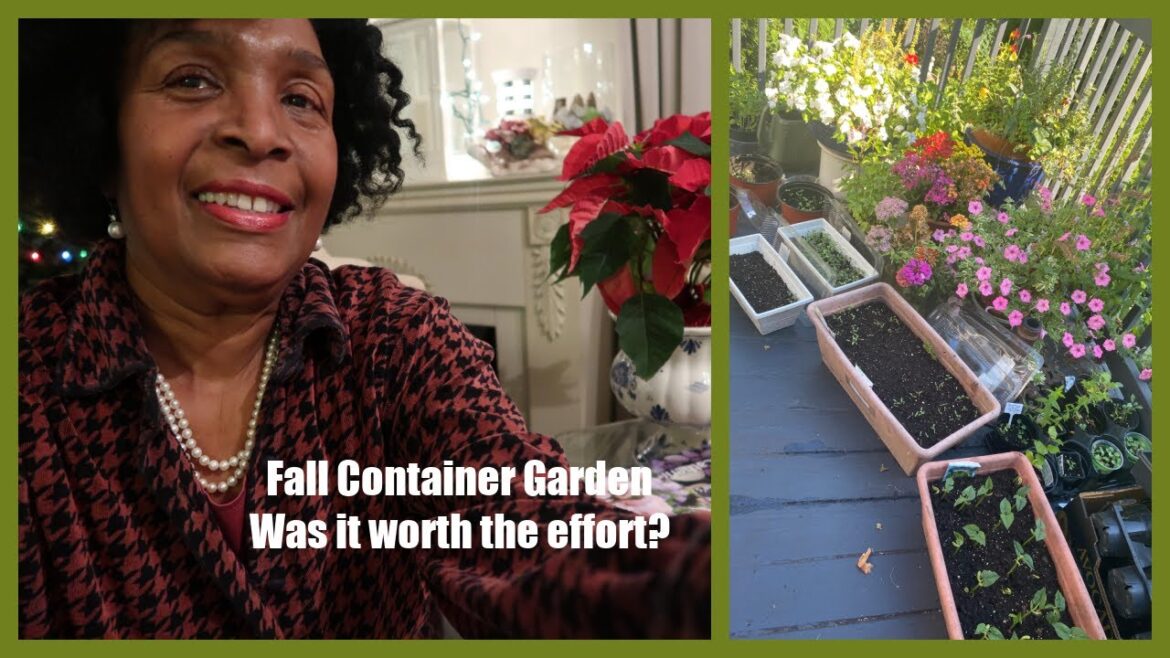 Fall Container Garden Planting 2023 pt.1  Was it successful? | Remembering Gathering Seeds in Jan. Fall Container Garden Planting 2023 pt.1  Was it successful? | Remembering Gathering Seeds in Jan.