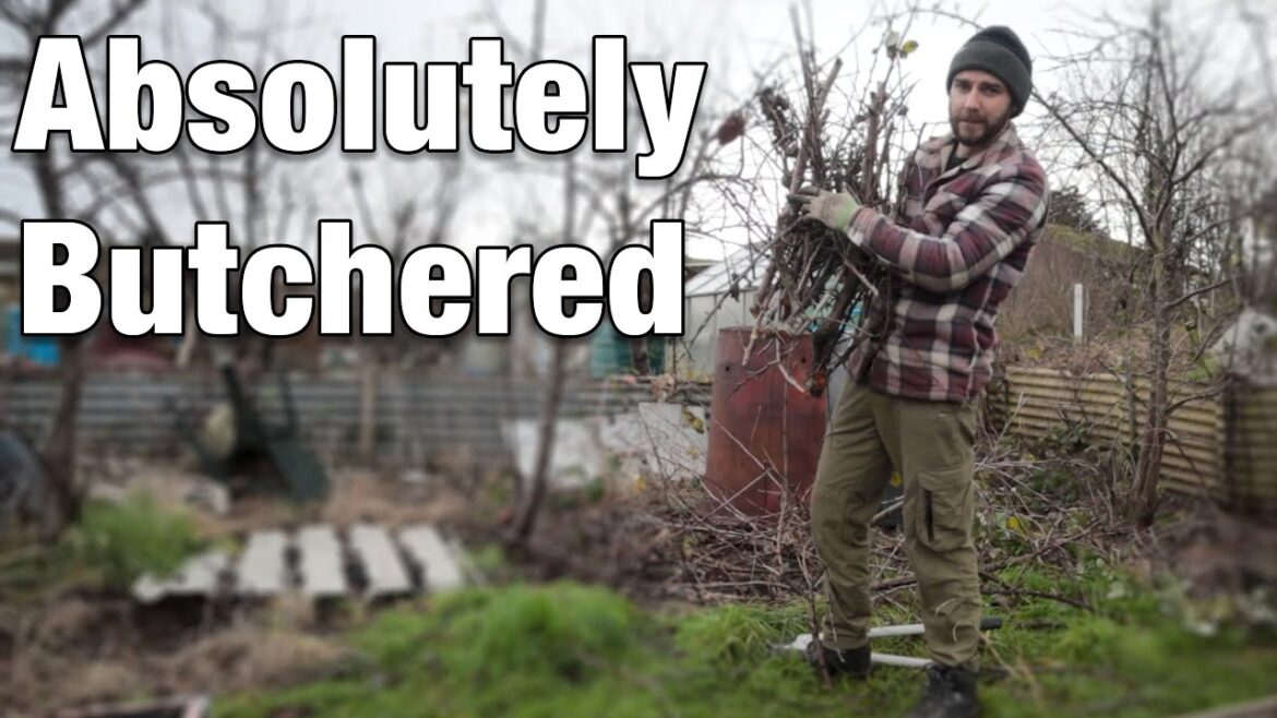 Tunnel Progress | Problems With My Plums | Hotbin Tinkering Tunnel Progress | Problems With My Plums | Hotbin Tinkering