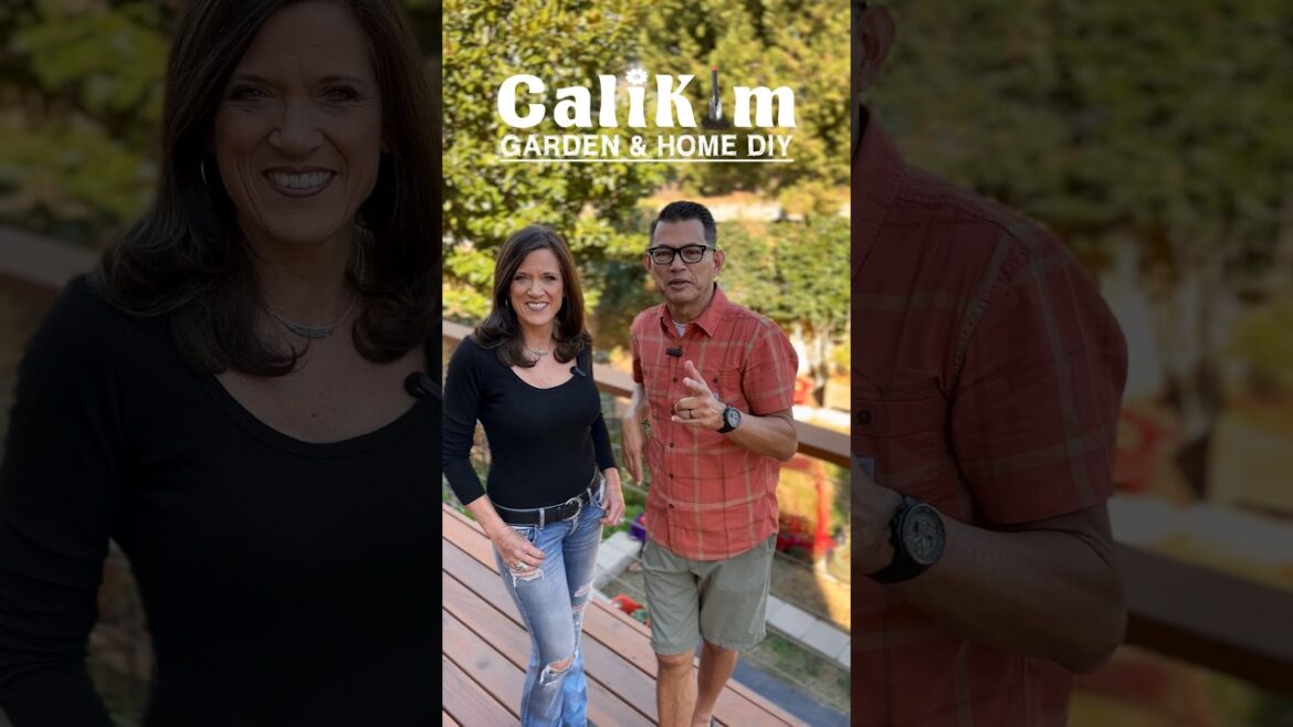 Waaas’ up 2024 !!!