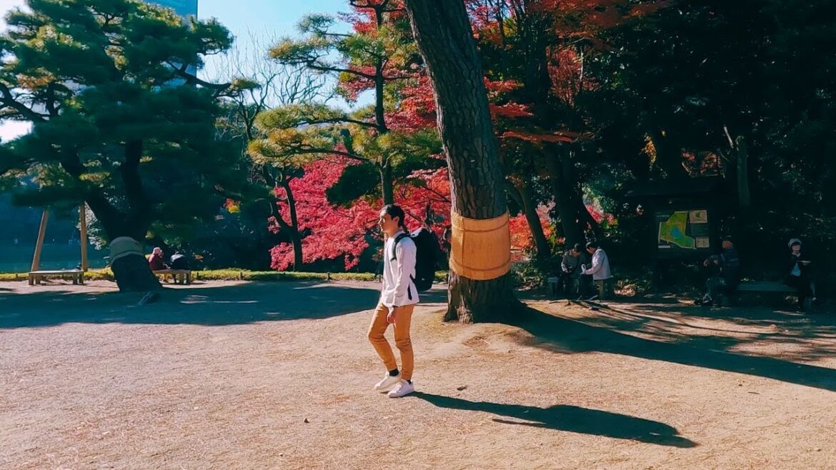 Japanese Garden in Tokyo - Koishikawa Korakuen Gardens in Autumn