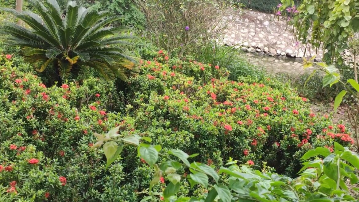 The Art of Autumn: Sky's Masterpiece Unveiled