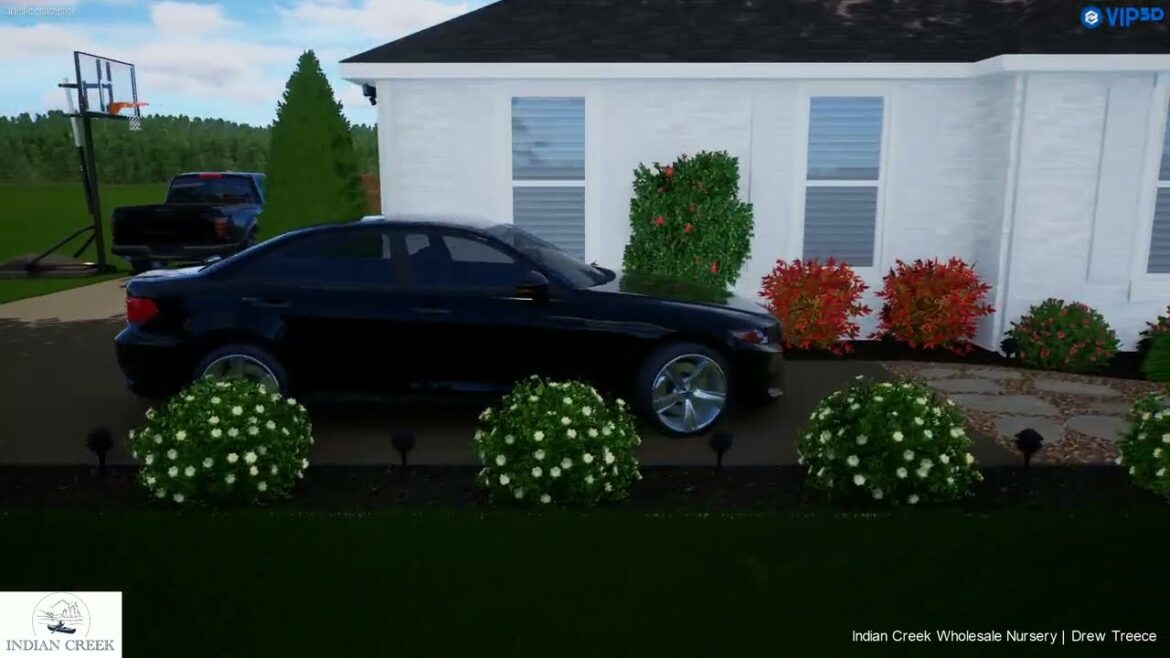 Low-Maintenance Front Yard Landscape