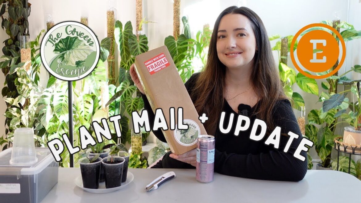 🎁 Unbox More Plant Mail with me from TGE on Etsy & Update on the Last Round 🎄