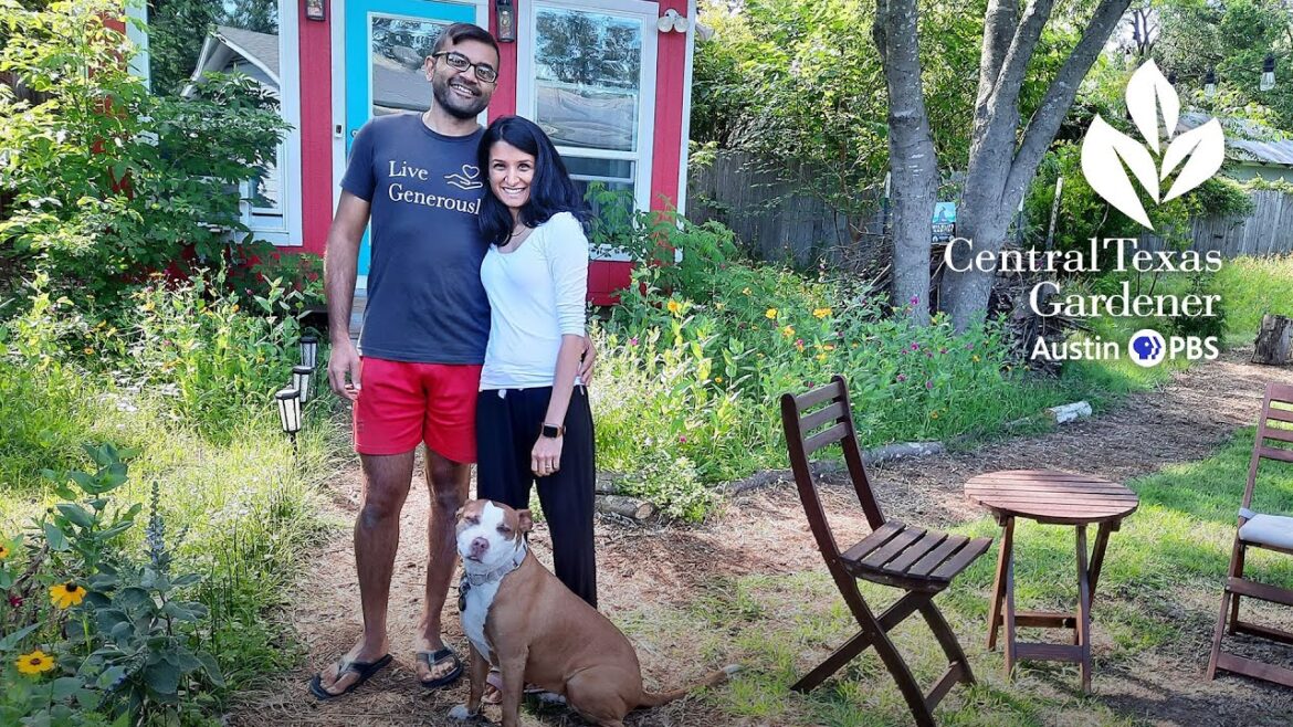 Drought Design: Change of Plans & Plants