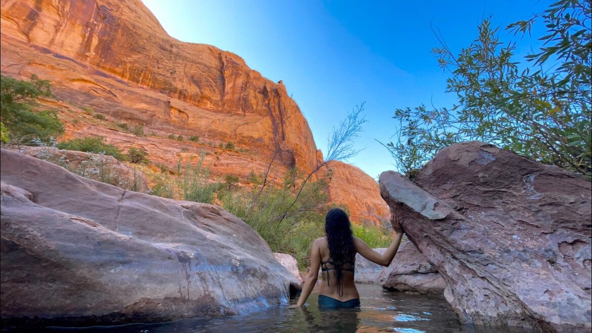 Desert Cold Plunges | Return to My Native Habitat