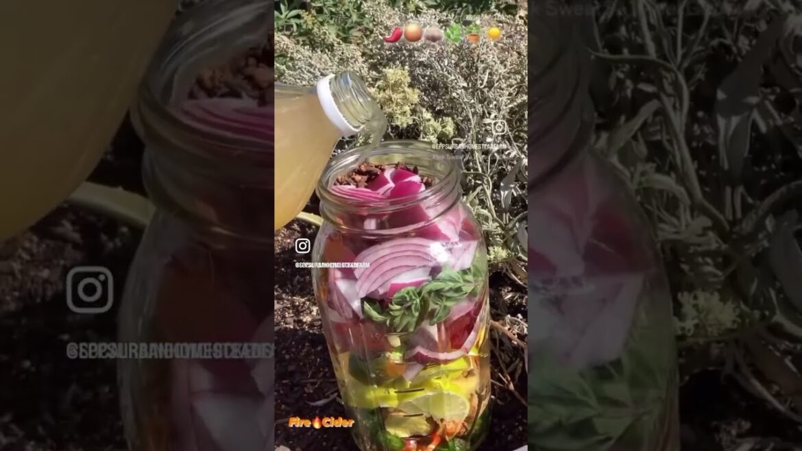 🏜Our Homestead Living a  Sustainable Lifestyle! 🌿🌱🍃 #offgrid #offgridliving #homestead #farming