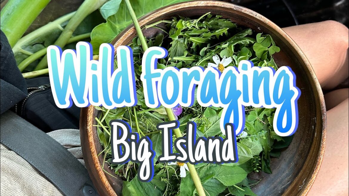 Wild Foraging Big Island Hawai’i - [21 common edible plants, fruit, seaweed]