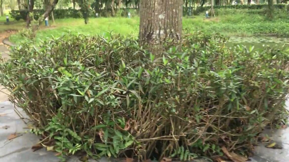 Golden Moments: A Day Under the Sun's Embrace