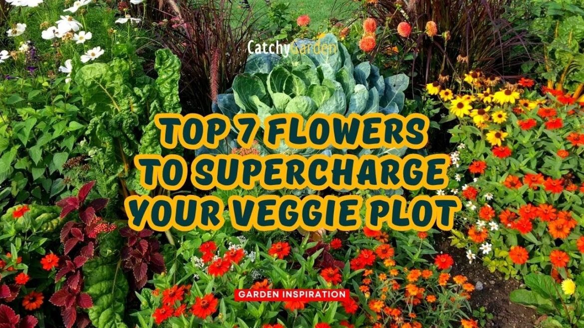 Top 7 Flowers to Supercharge Your Veggie Plot 🌷🥬️🌻 // Gardening Ideas