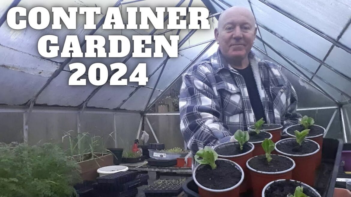 A Bigger Container Garden [Gardening Allotment UK] [Grow Vegetables At Home ]