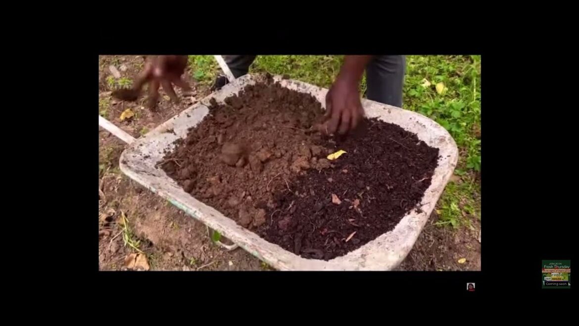 The Ultimate Winter Hack for Container Gardening Success The Ultimate Winter Hack for Container Gardening Success