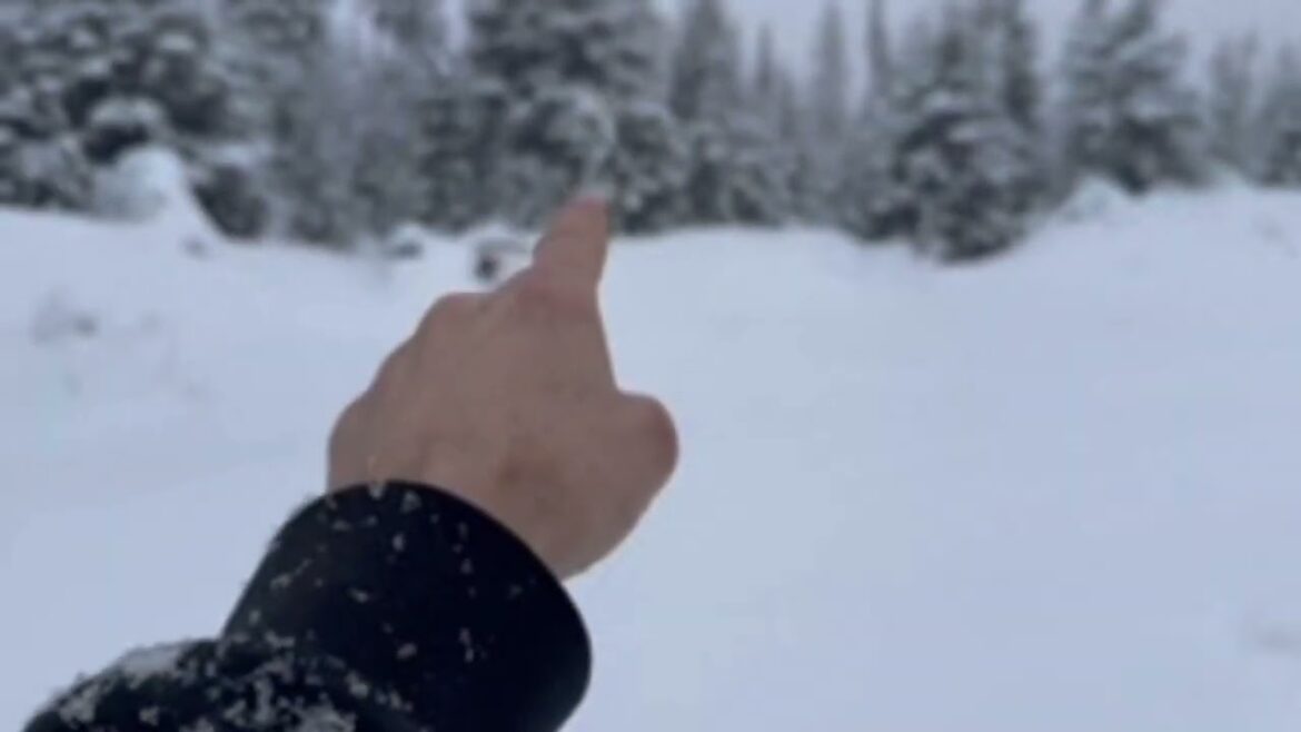 S2 Ep. 3 Sharing our winter plans for a spring garden area