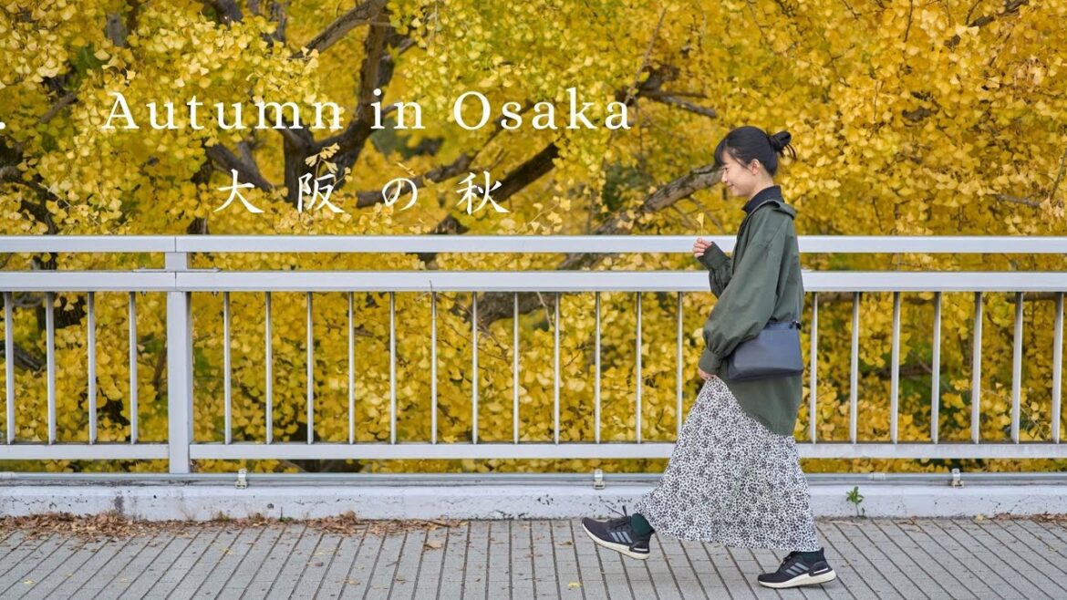 [Japan Travel] Autumn Leaves in Osaka | The Expo '70 Commemorative Park, Minoh Park