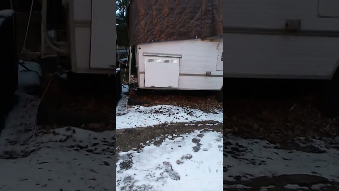 Flower Plans for Spring #gardening #flowers #spring #dreams #garden #plant Flower Plans for Spring #gardening #flowers #spring #dreams #garden #plant