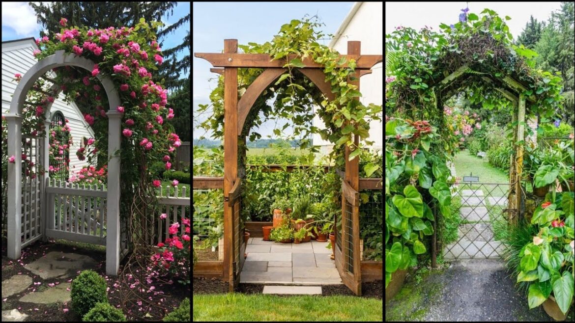Beautiful Flower Gate Garden Ideas || Garden Arches Ideas || DIY Garden Ideas Beautiful Flower Gate Garden Ideas || Garden Arches Ideas || DIY Garden Ideas