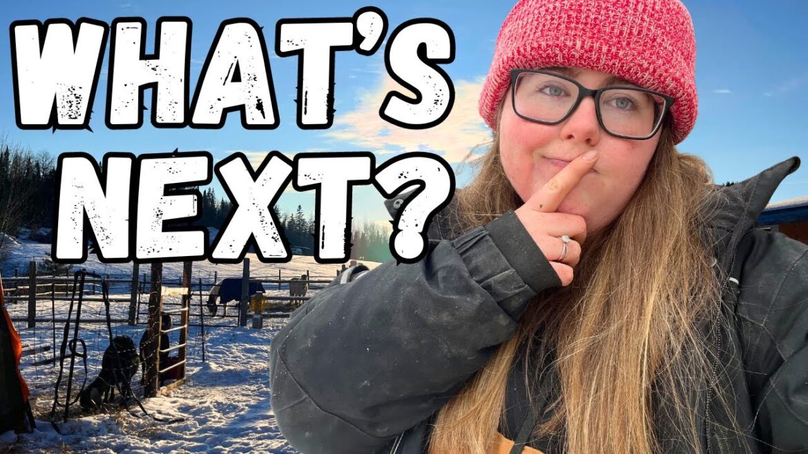 Whats Next for the Homestead!?! | Homestead Plans| VLOG