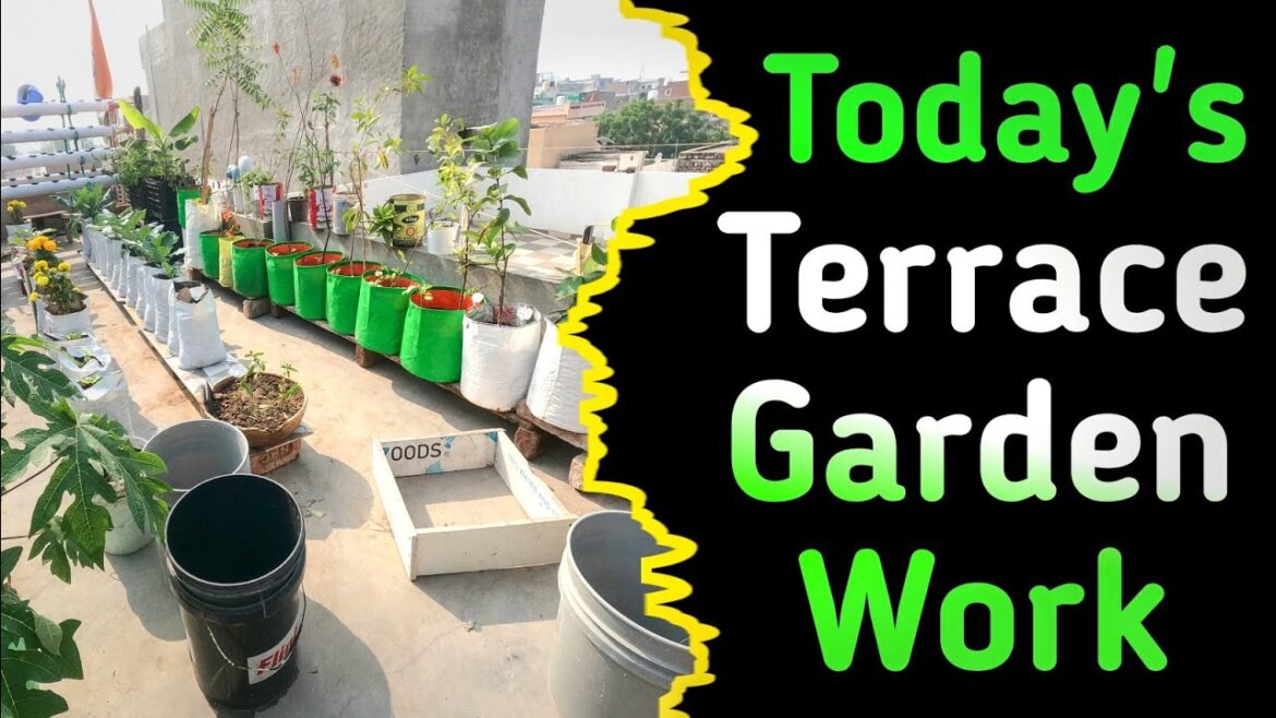 How to Take Care of Your Garden /25 Gardening Tips Every Gardener Should Know @TerraceGardening How to Take Care of Your Garden /25 Gardening Tips Every Gardener Should Know @TerraceGardening