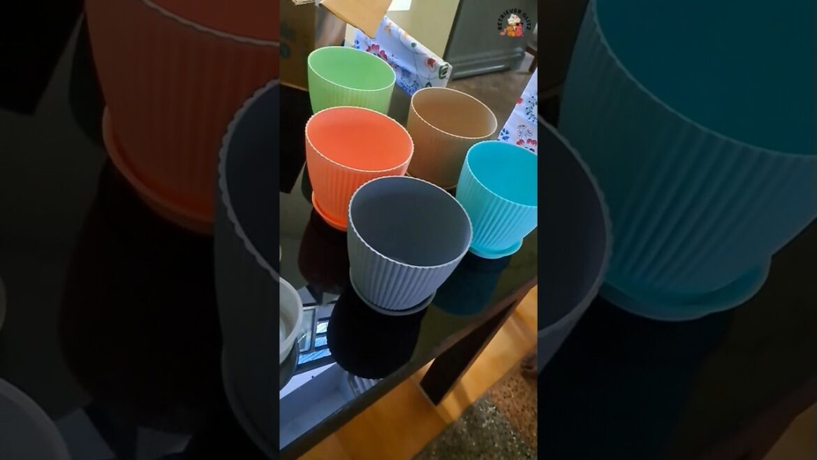 Plastic Round Flower Pots for Home Planters Container Set#unboxing #inkulture #pot #flowerpots#new Plastic Round Flower Pots for Home Planters Container Set#unboxing #inkulture #pot #flowerpots#new