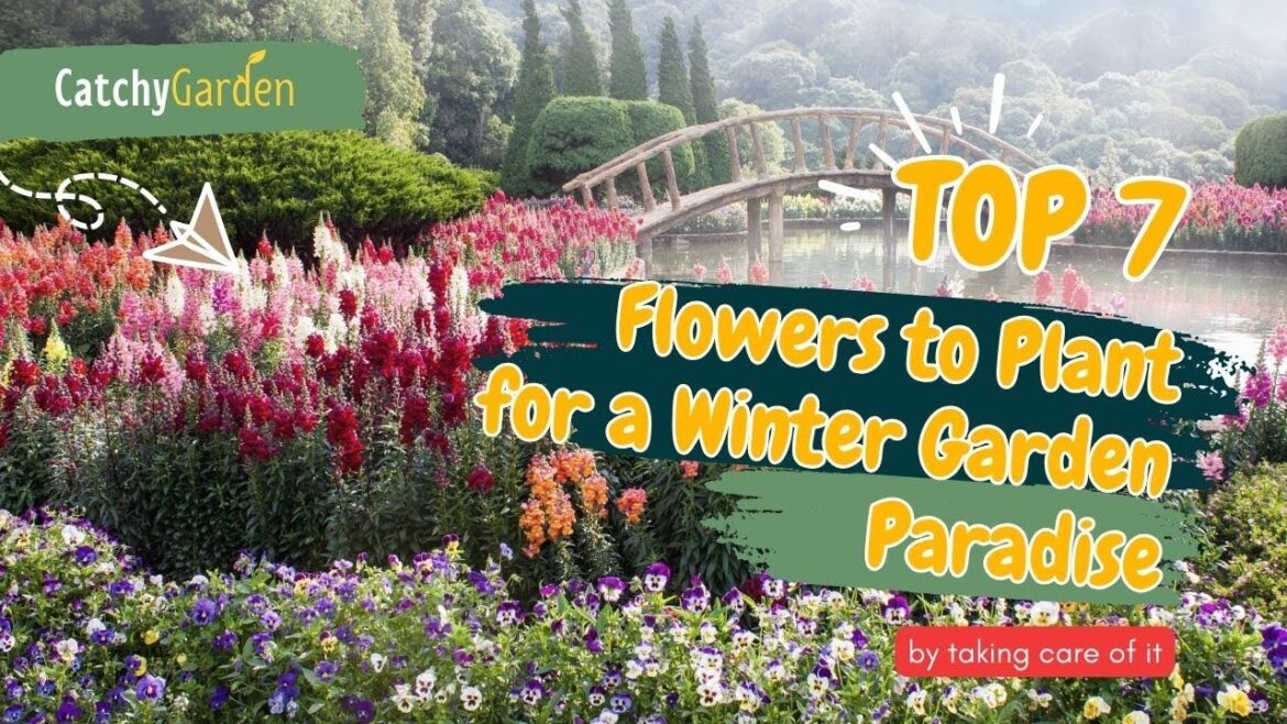 Top 7 Flowers to Plant for a Winter Garden Paradise🌹❄️🌸 // Gardening Ideas Top 7 Flowers to Plant for a Winter Garden Paradise🌹❄️🌸 // Gardening Ideas